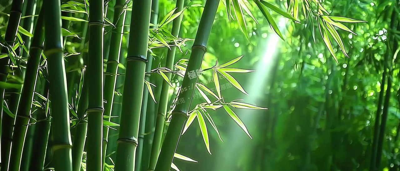 竹林