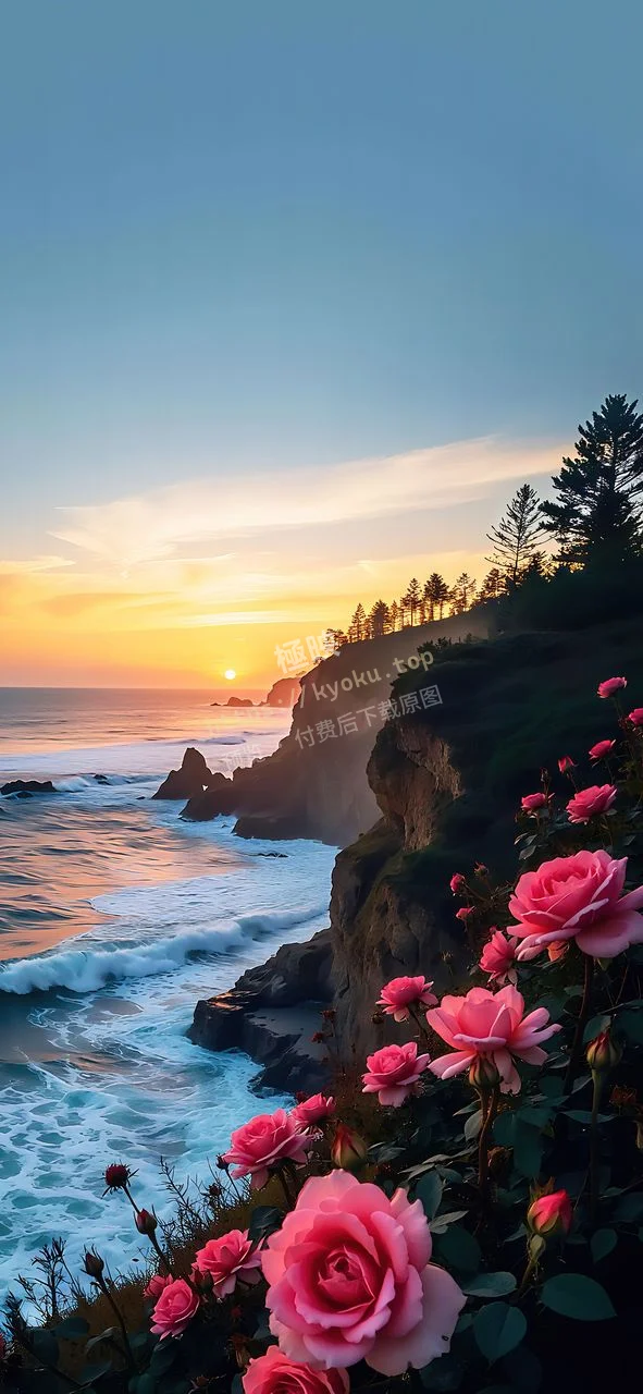 海浪花海