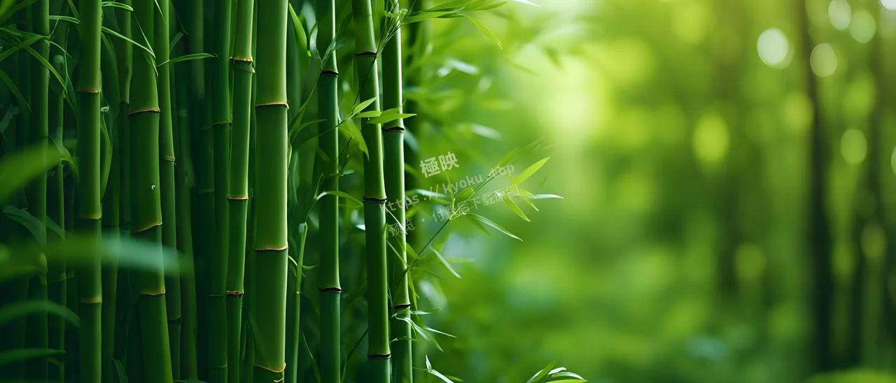 绿竹幽境