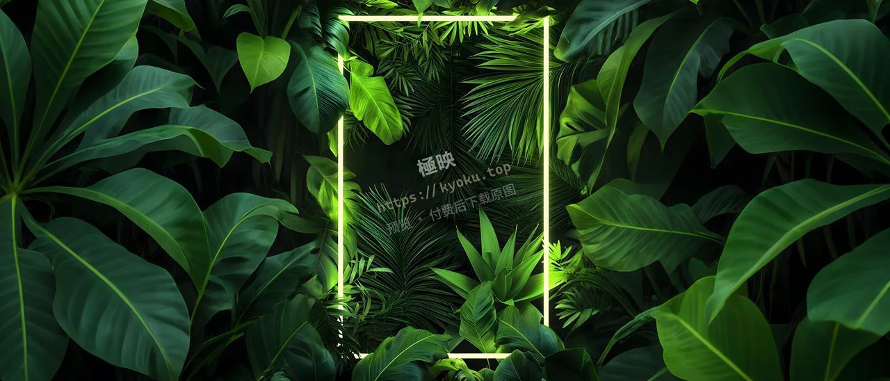 霓虹绿植治愈