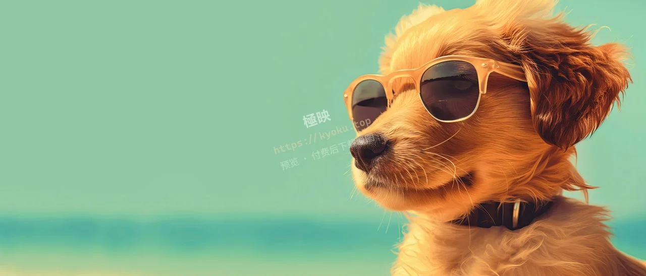 戴墨镜萌犬夏日治愈系