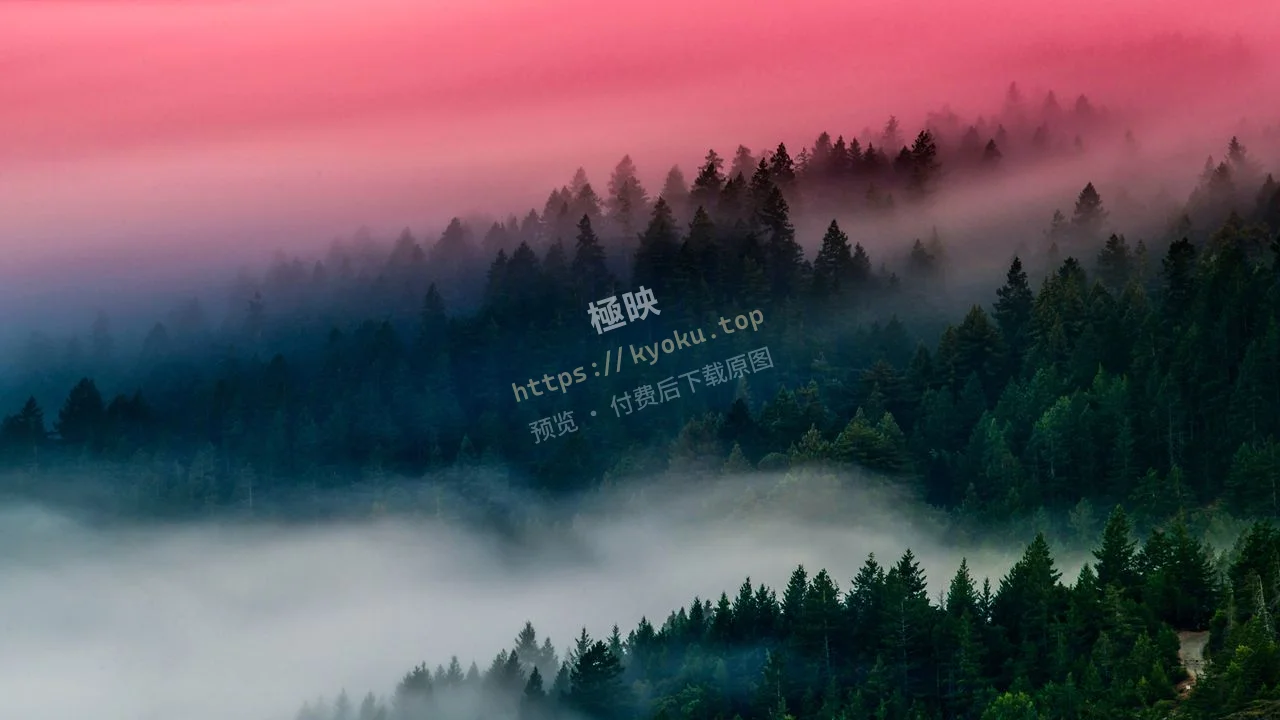 粉雾森林梦幻