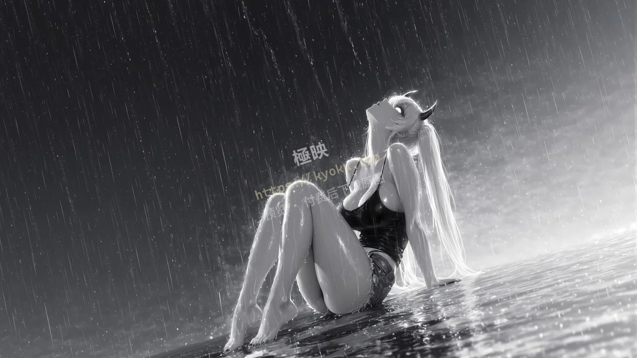 国家队02雨中黑白