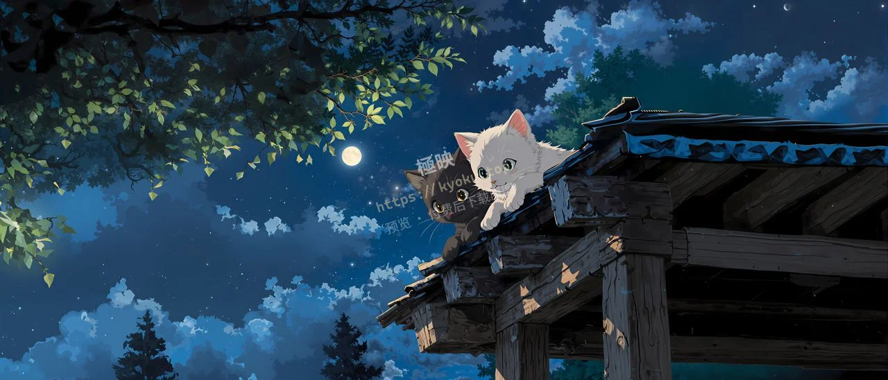 月夜屋顶黑白猫咪