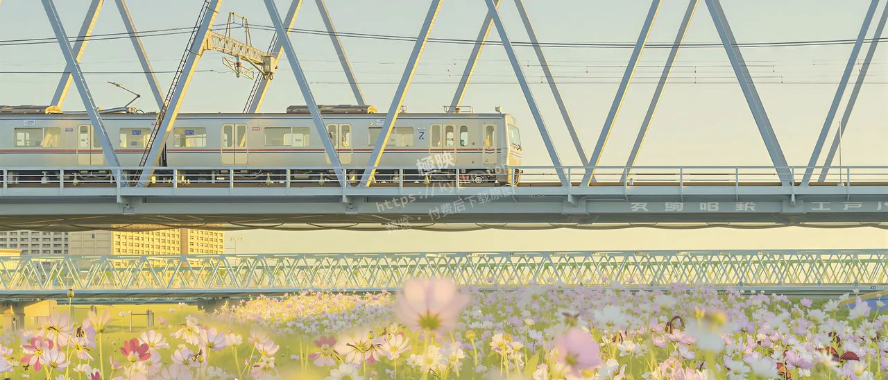 花海列车