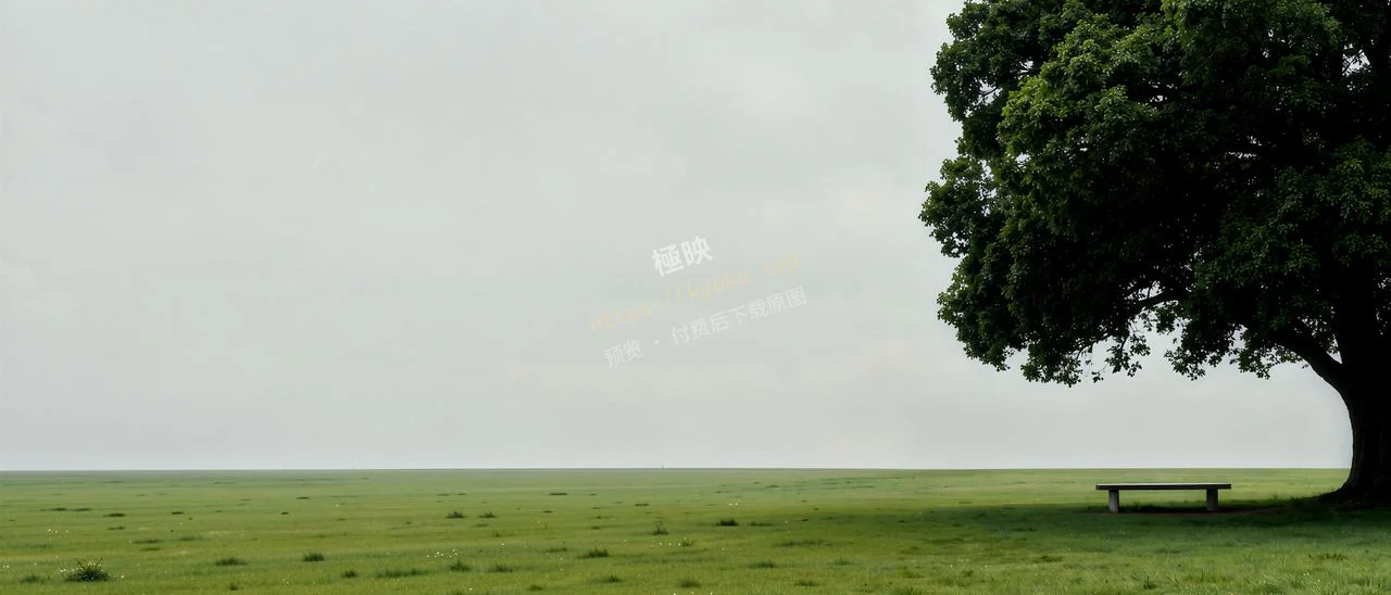 极简孤树氛围感治愈